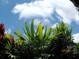 a0161409_1963453.jpg
