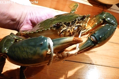 c0156212_21452670.jpg