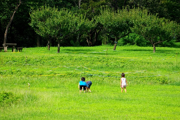 d0147812_0273169.jpg