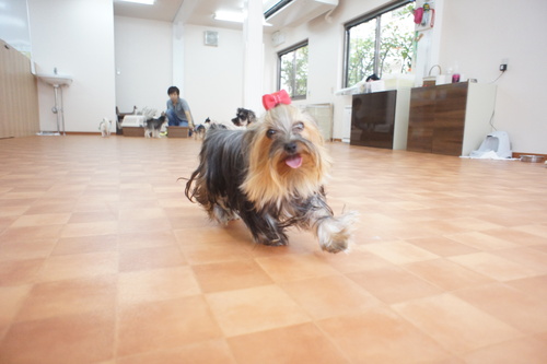 d0220513_19514930.jpg