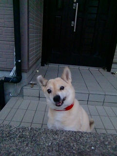 b0073616_1311963.jpg