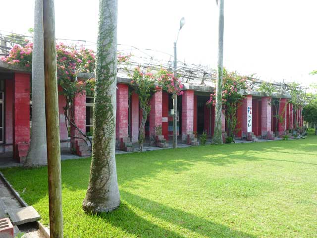 e0049318_2026185.jpg