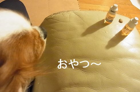 f0214121_1954506.jpg