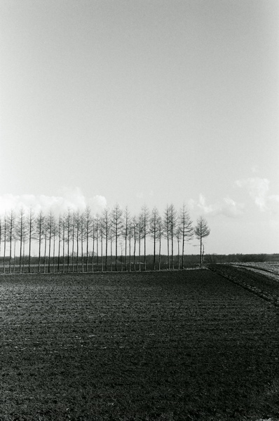 f0182924_1711071.jpg