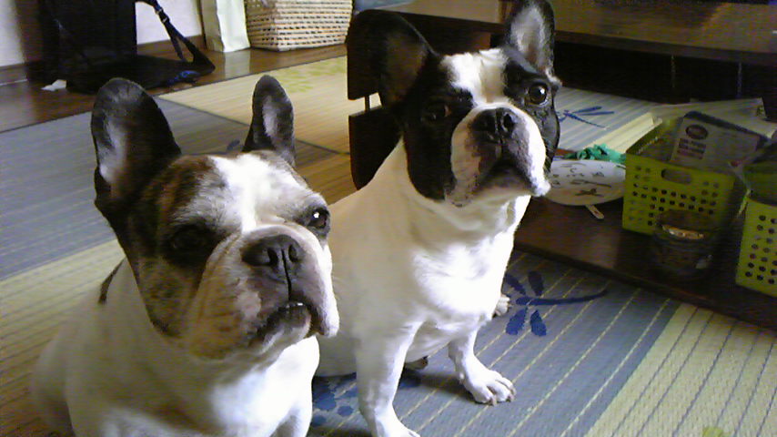 e0008833_1324431.jpg