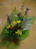 f0167635_6221488.jpg