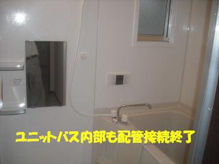 f0031037_20374429.jpg