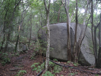 c0077338_6165585.jpg