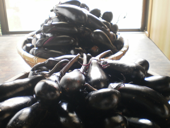 e0224842_1550367.jpg