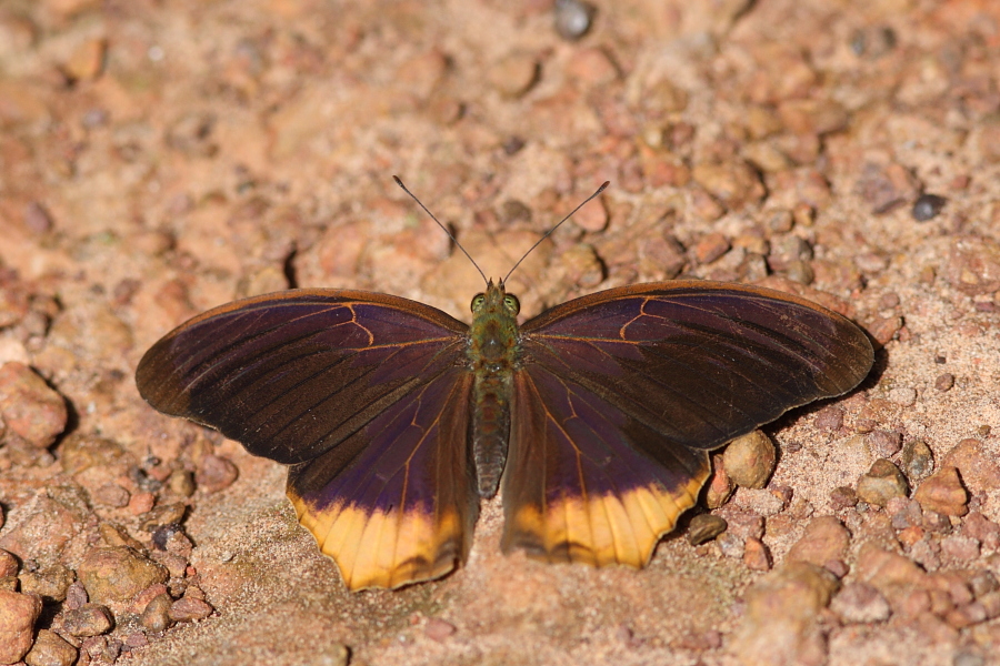 a0094850_12415010.jpg