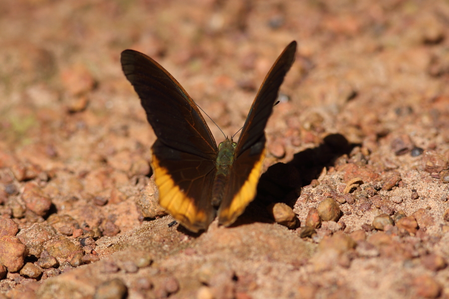 a0094850_1242047.jpg