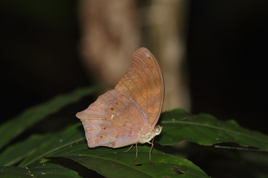 a0094850_21433979.jpg