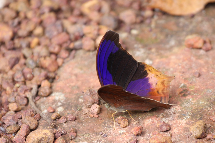 a0094850_2143578.jpg