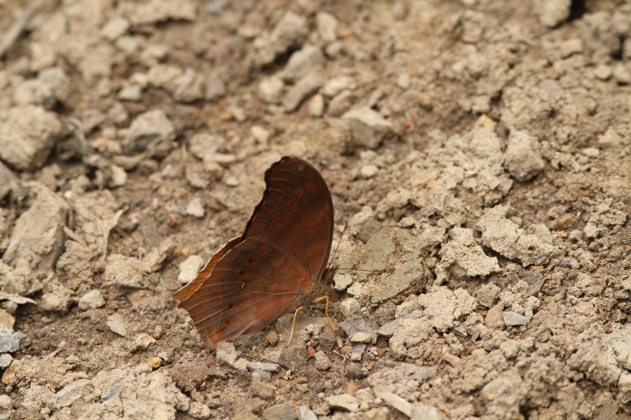 a0094850_2144934.jpg