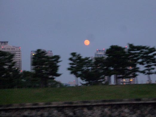 c0039153_22231334.jpg
