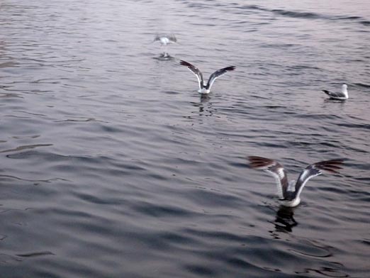 c0039153_2223740.jpg