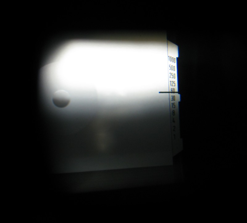 d0173255_21524969.jpg