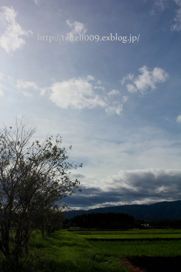 d0188155_2056517.jpg