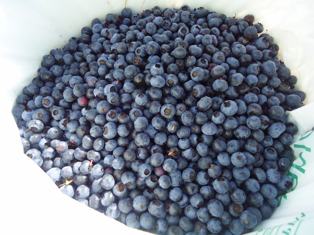 d0172957_0552462.jpg
