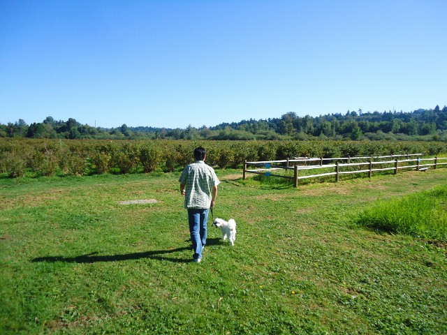 d0172957_05597.jpg