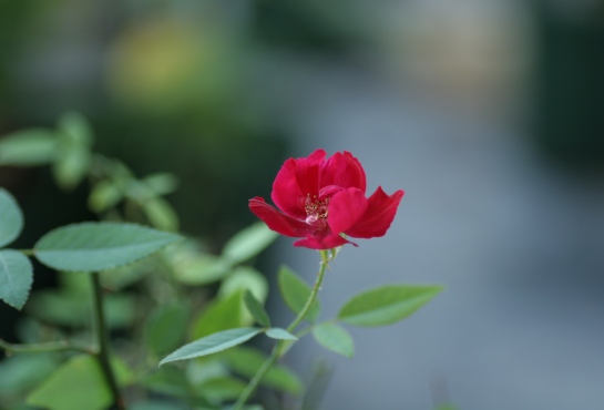 c0186463_024253.jpg