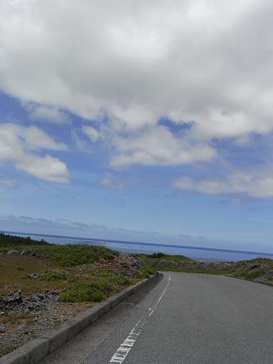 f0110663_0305746.jpg
