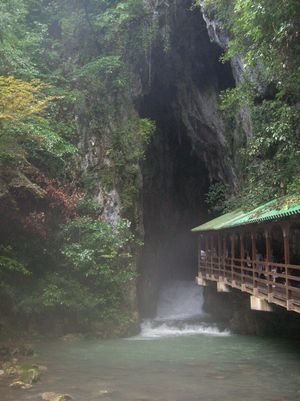 f0131263_5501452.jpg