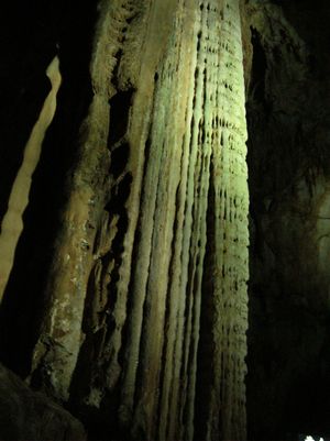 f0131263_5524737.jpg