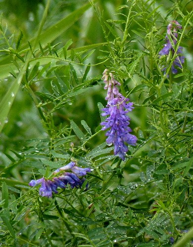 d0084473_1756322.jpg