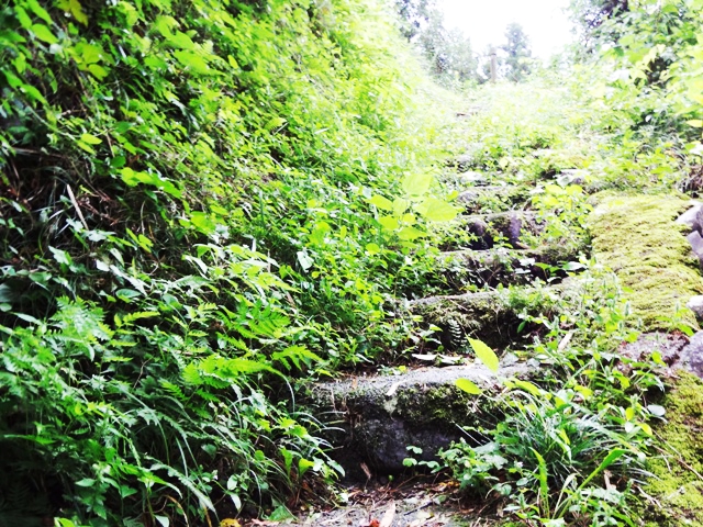 e0004173_13134617.jpg