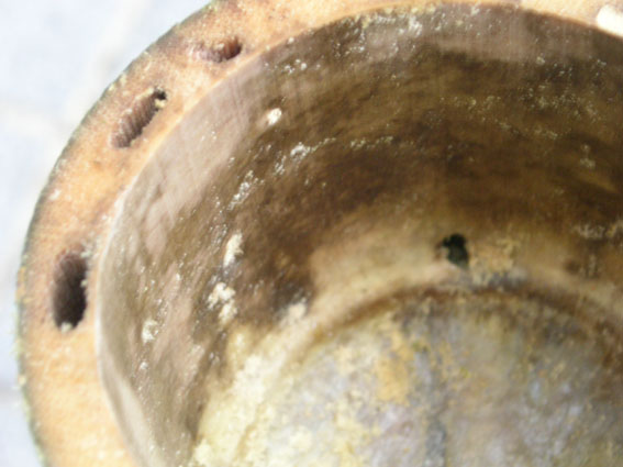 e0118274_1054265.jpg