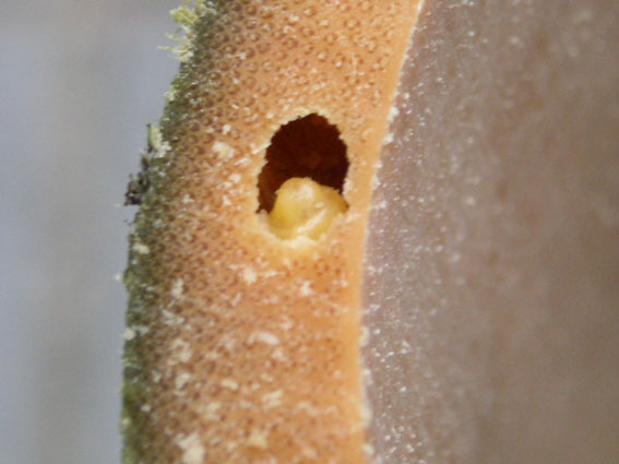 e0118274_10542922.jpg
