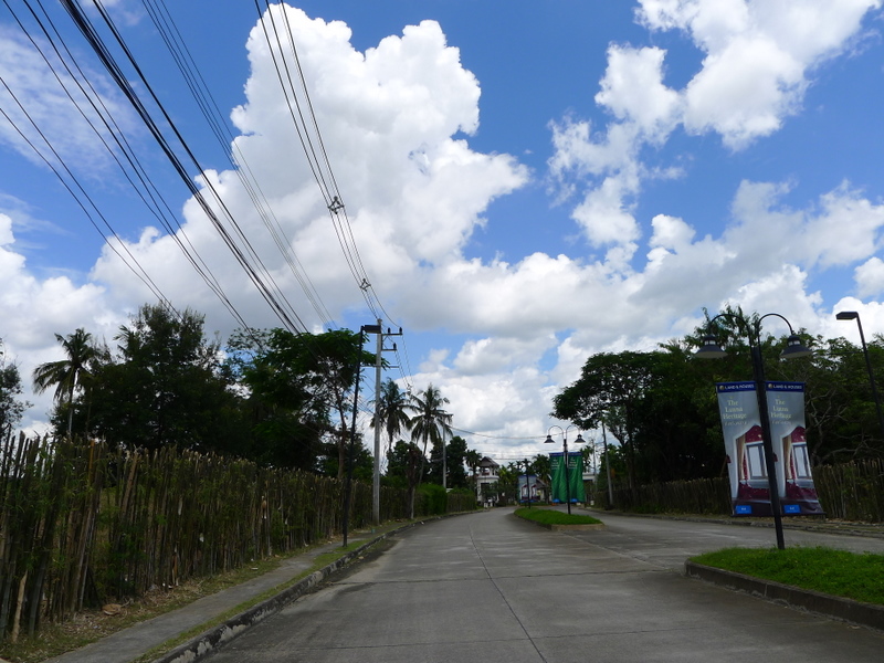 f0178278_7444262.jpg