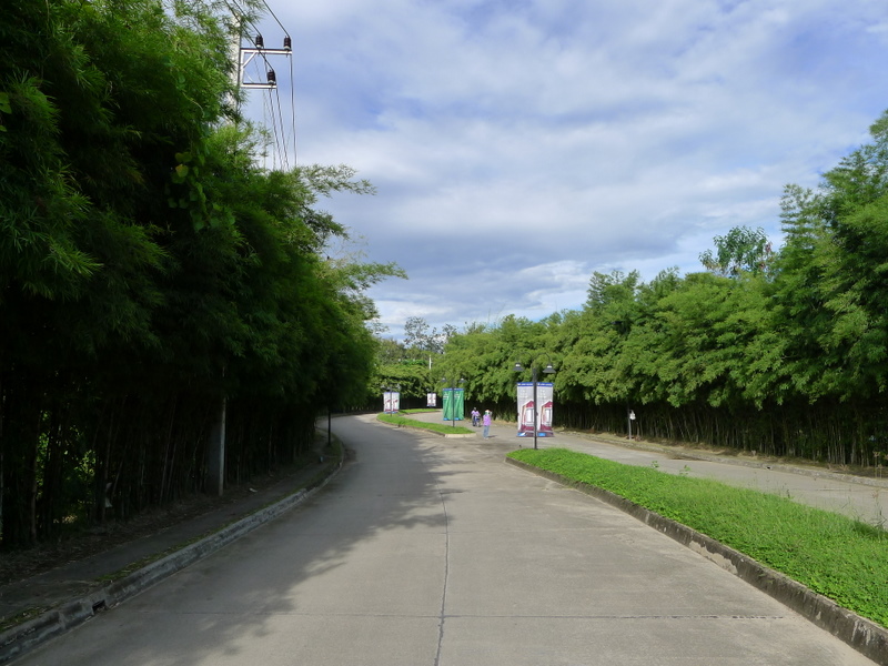 f0178278_7462582.jpg