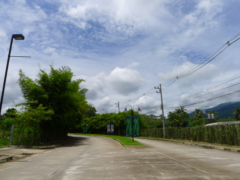f0178278_939062.jpg