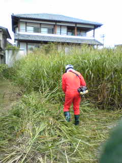 c0125283_2103850.jpg