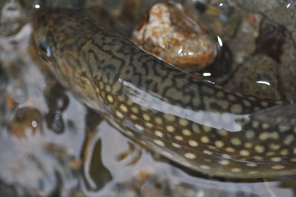d0164783_22192037.jpg