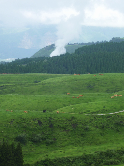 d0179983_2120066.jpg