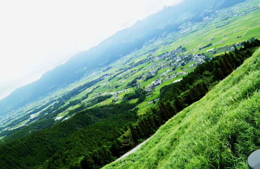 d0179983_2223692.jpg
