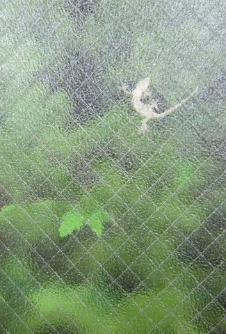 c0160488_20141073.jpg