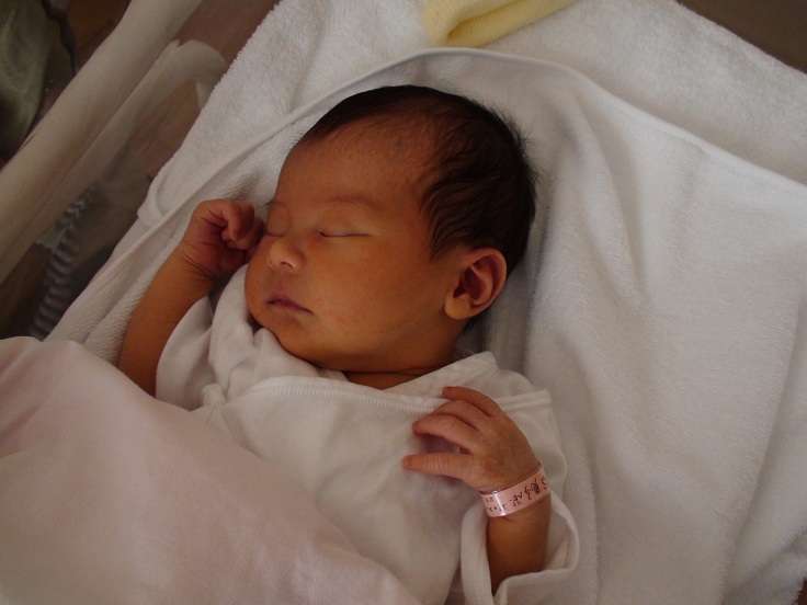 a0184090_2330145.jpg