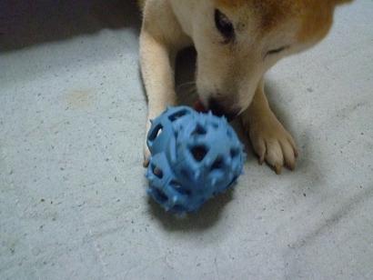 c0123890_20125652.jpg