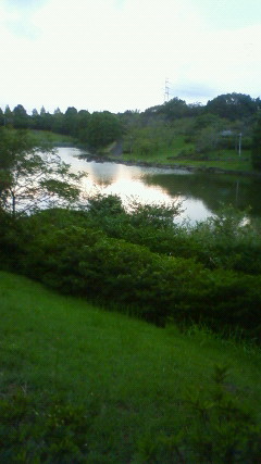 d0235791_1951642.jpg
