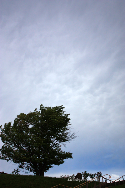 f0001895_18151776.jpg