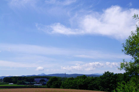 c0207596_2012795.jpg