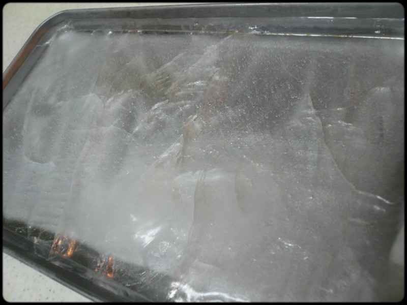 e0192200_20415762.jpg