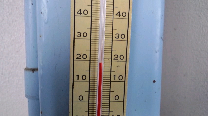 d0093903_7464630.jpg