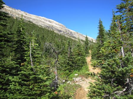 b0051109_12555592.jpg