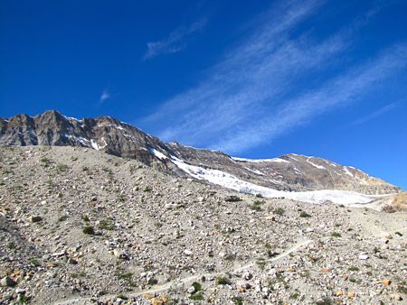 b0051109_1364779.jpg