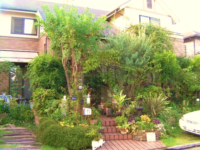 c0204121_23415656.jpg
